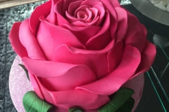gallery-1