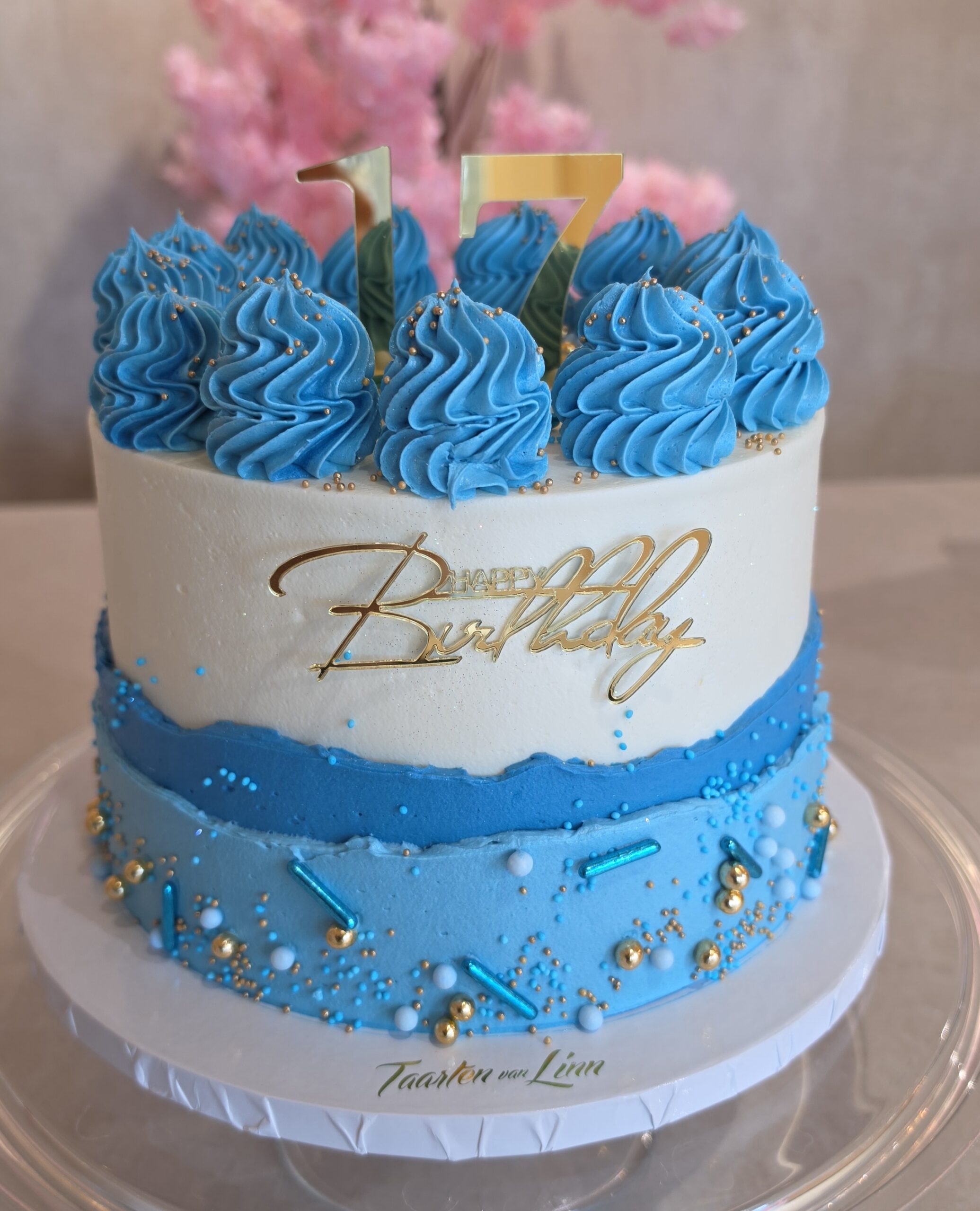 Party cake 1 Party cake